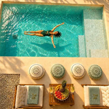 Hero's Olive Garden Retreat Apartment Chania (Crete)