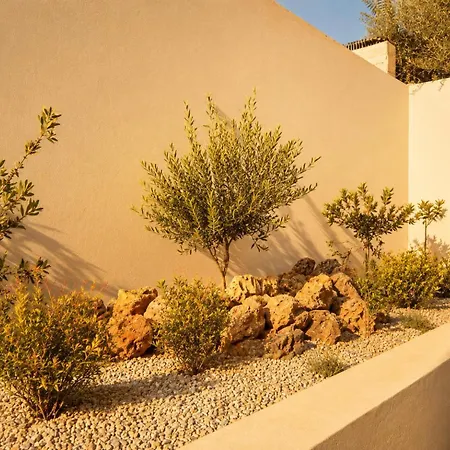 Hero's Olive Garden Retreat Apartment Chania (Crete)